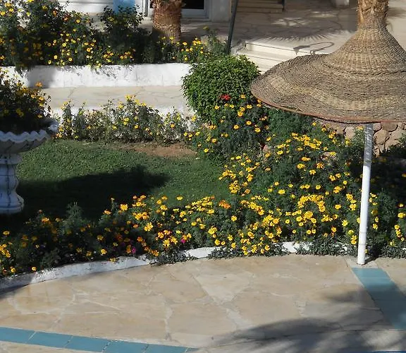 Regency Sharm Hotel Resort Şarm El-Şeyh