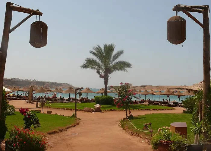 Regency Sharm Hotel Resort Şarm El-Şeyh